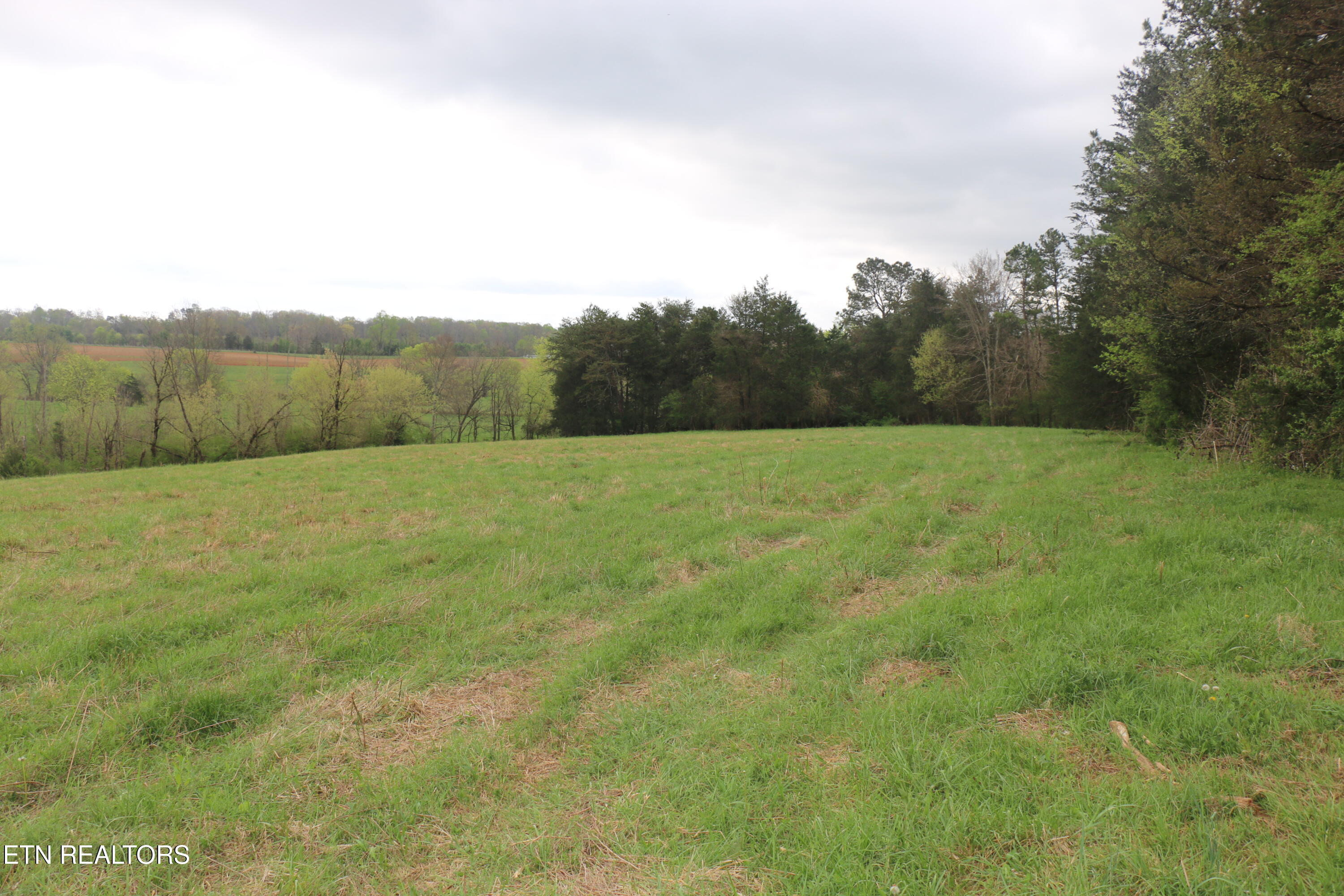 10.62-acrs Campground Road Madisonville, TN 37354 - Photo 6 of 19 IMG_8341