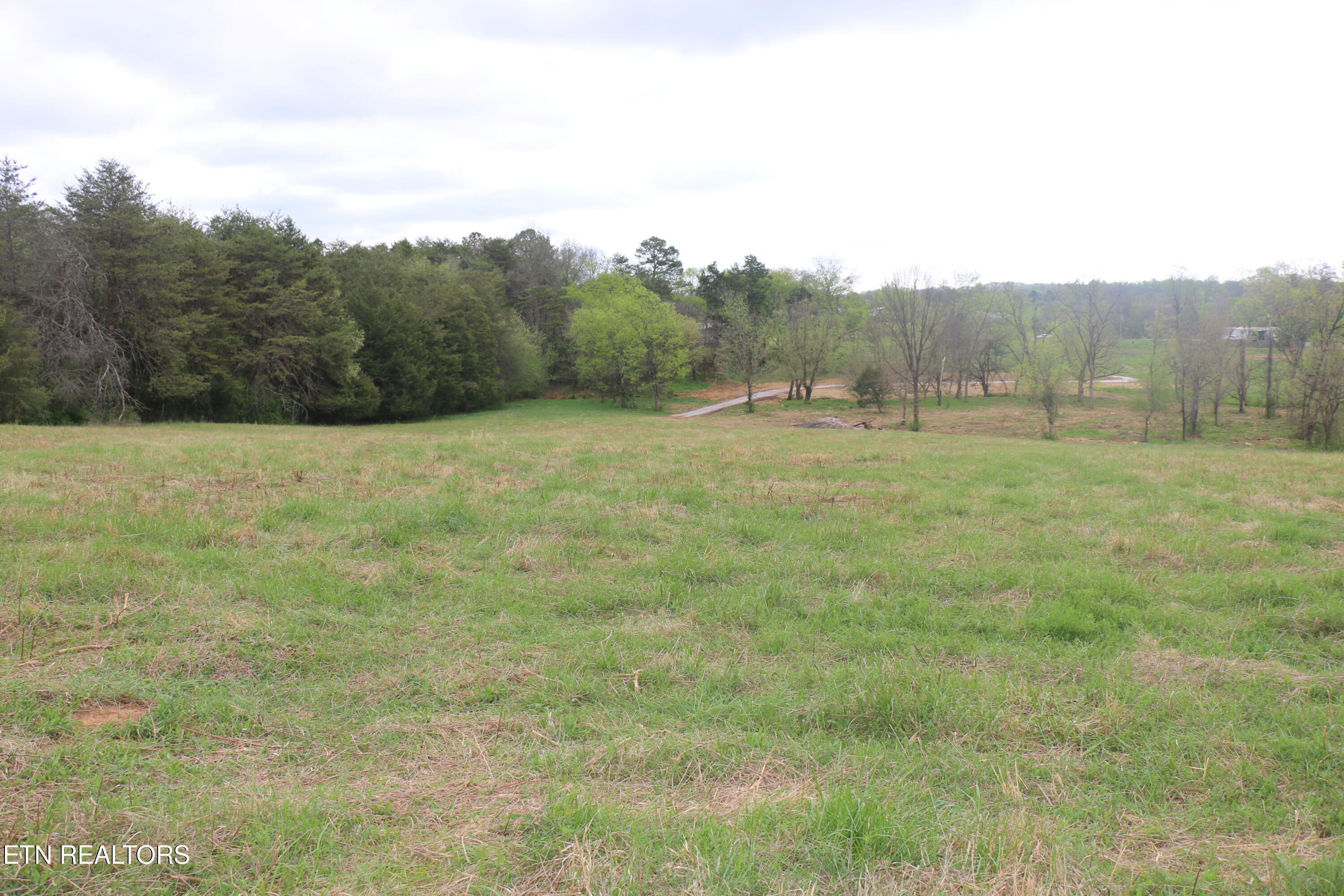 10.62-acrs Campground Road Madisonville, TN 37354 - Photo 7 of 19 IMG_8342