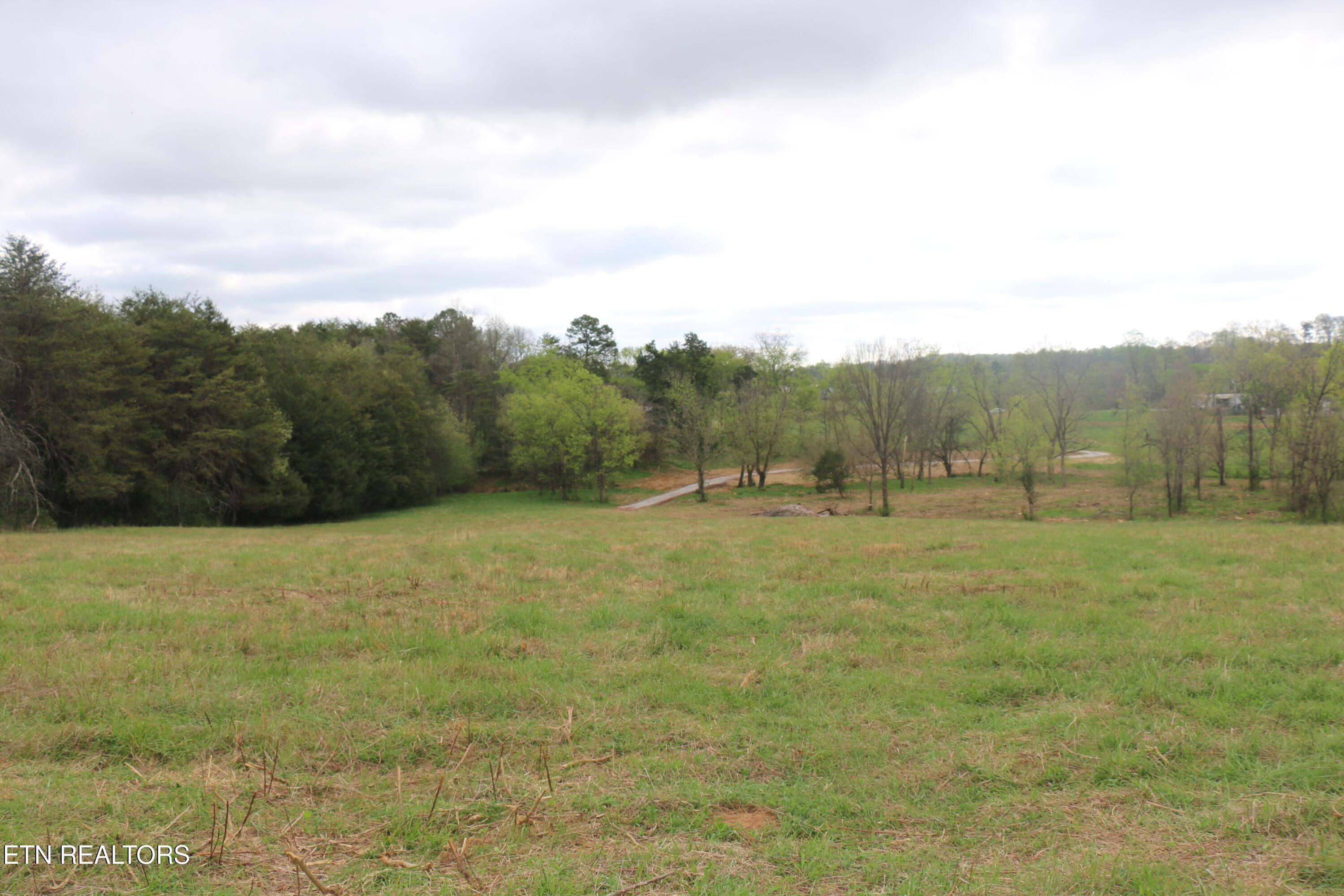 10.62-acrs Campground Road Madisonville, TN 37354 - Photo 8 of 19 IMG_8343