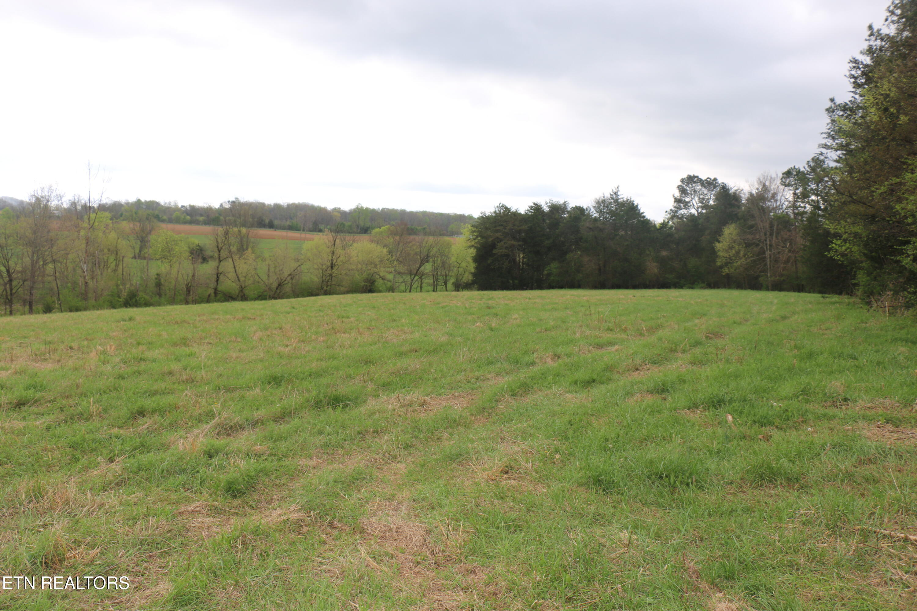 10.62-acrs Campground Road Madisonville, TN 37354 - Photo 9 of 19 IMG_8344