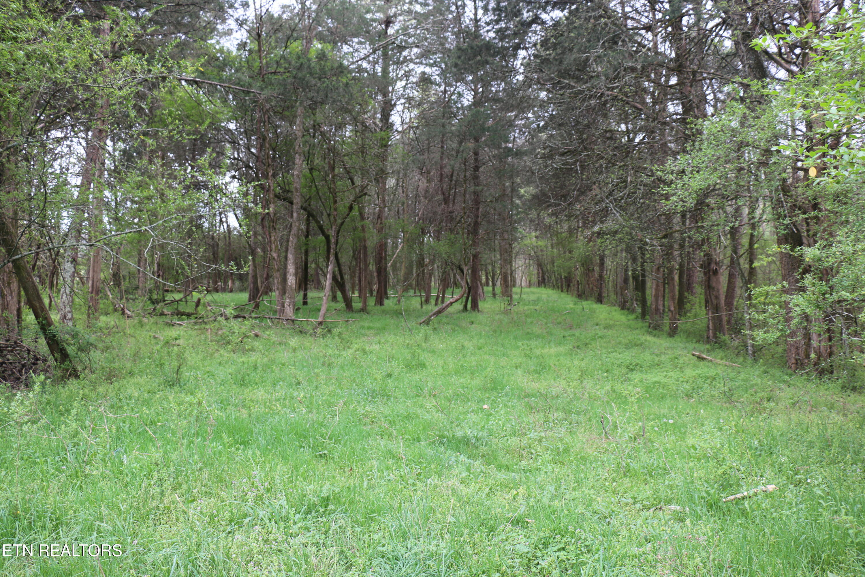 10.62-acrs Campground Road Madisonville, TN 37354 - Photo 10 of 19 IMG_8345