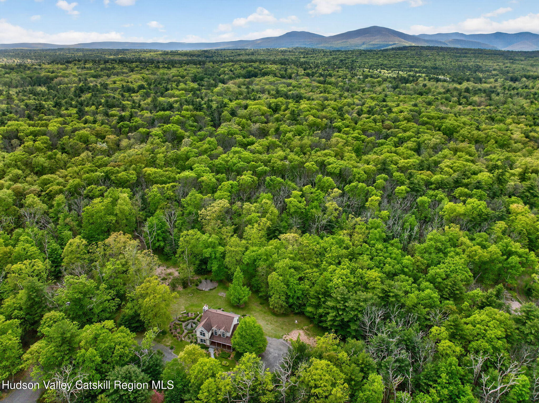 189 Bush Road Stone Ridge, NY 12484 - Photo 60 of 60 a view of a lush green field with lots of bushes