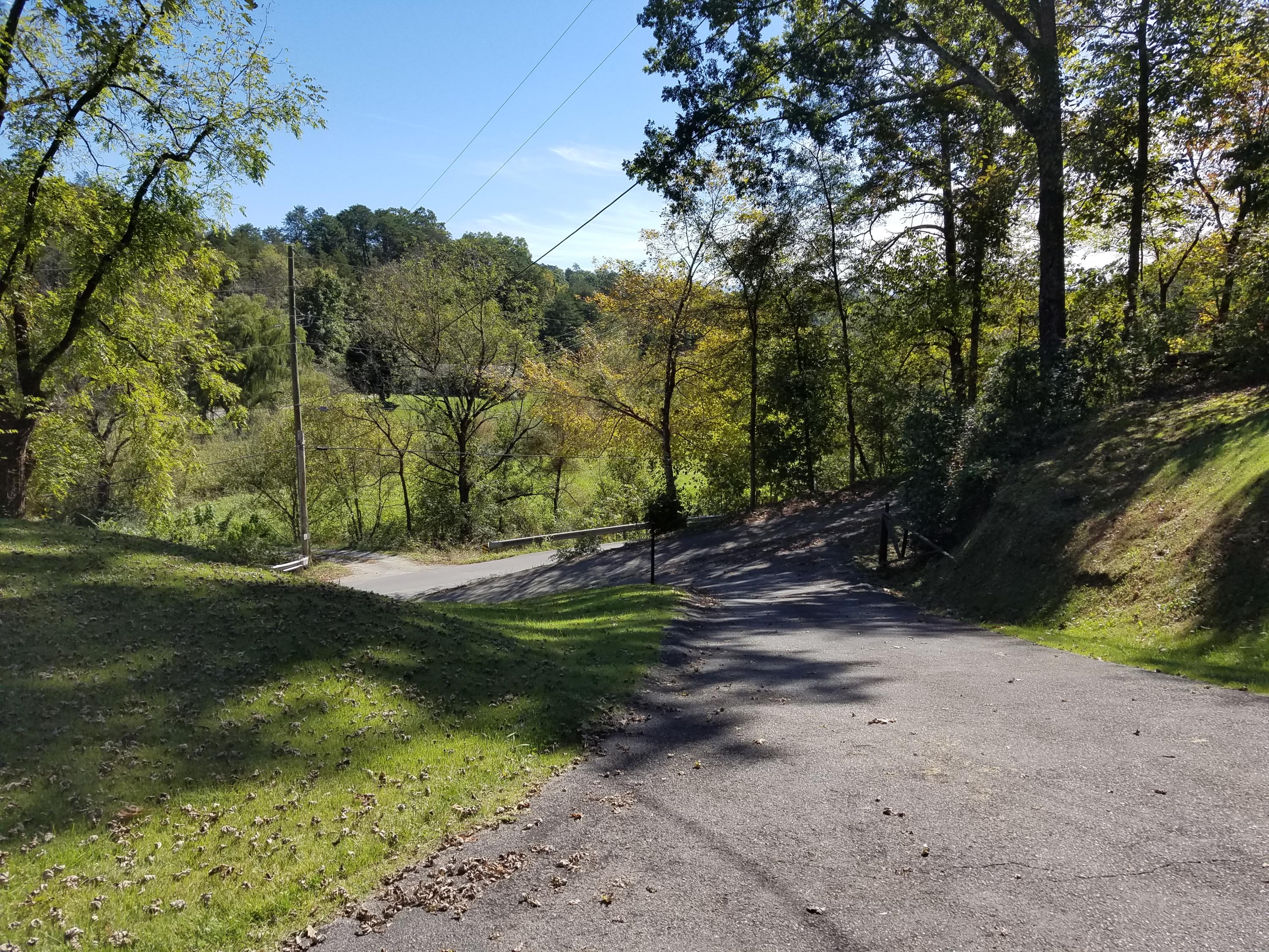 Jett View down driveway