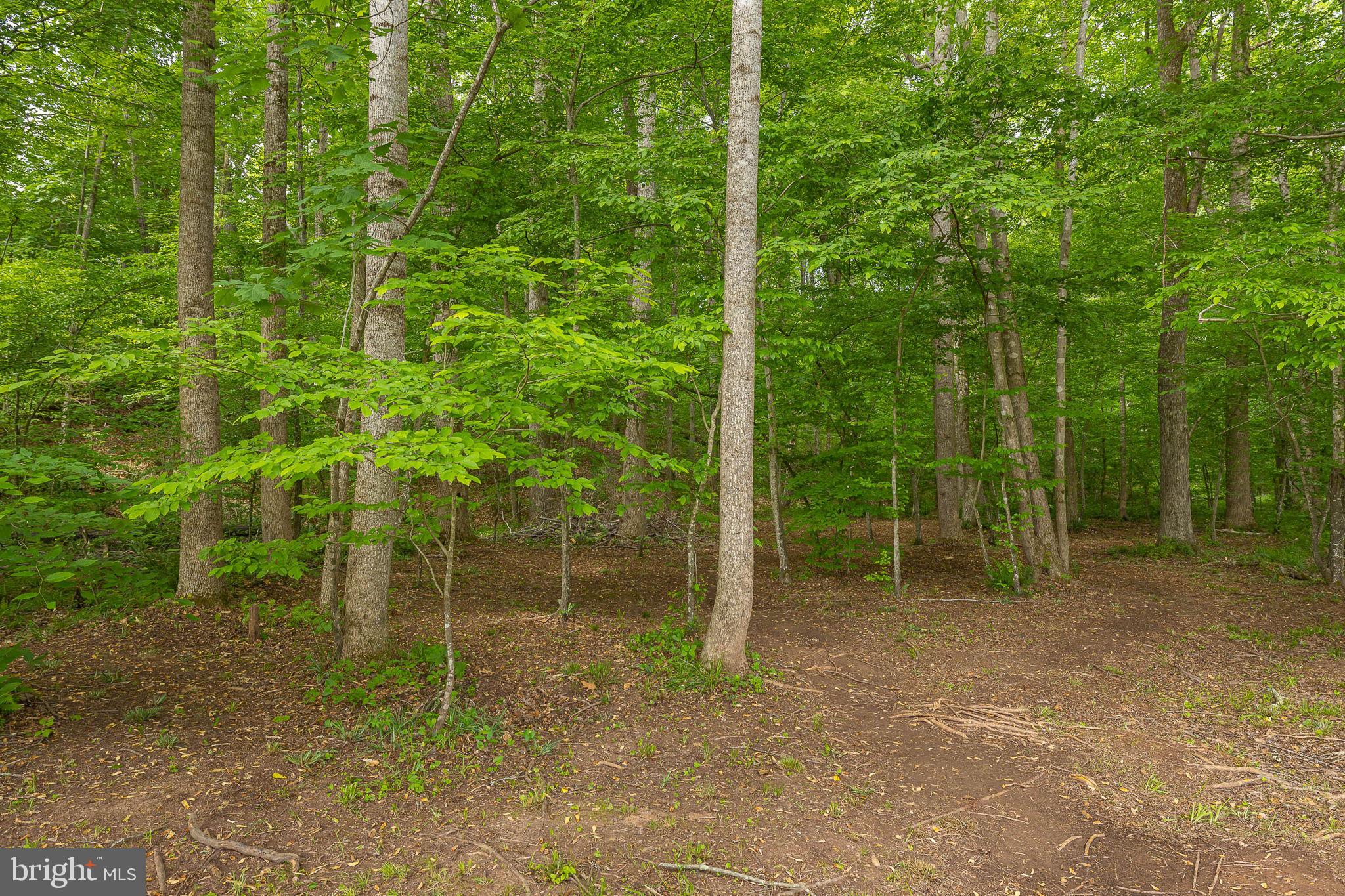 2283 Cromwell Road Catlett, VA 20119 - Photo 15 of 62