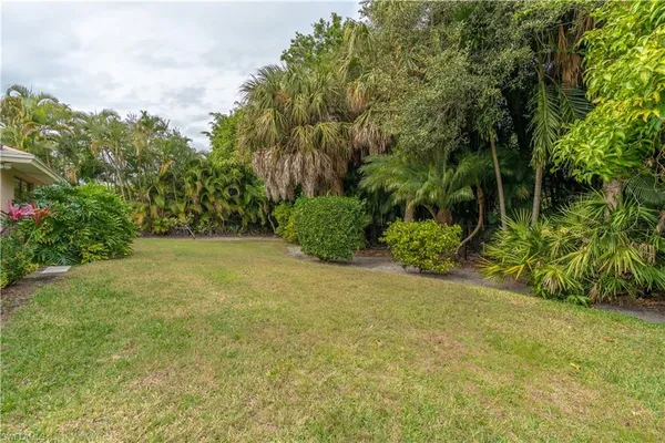 a view of a yard with plants and large trees