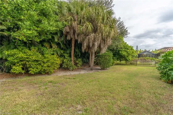 a view of a yard with a tree