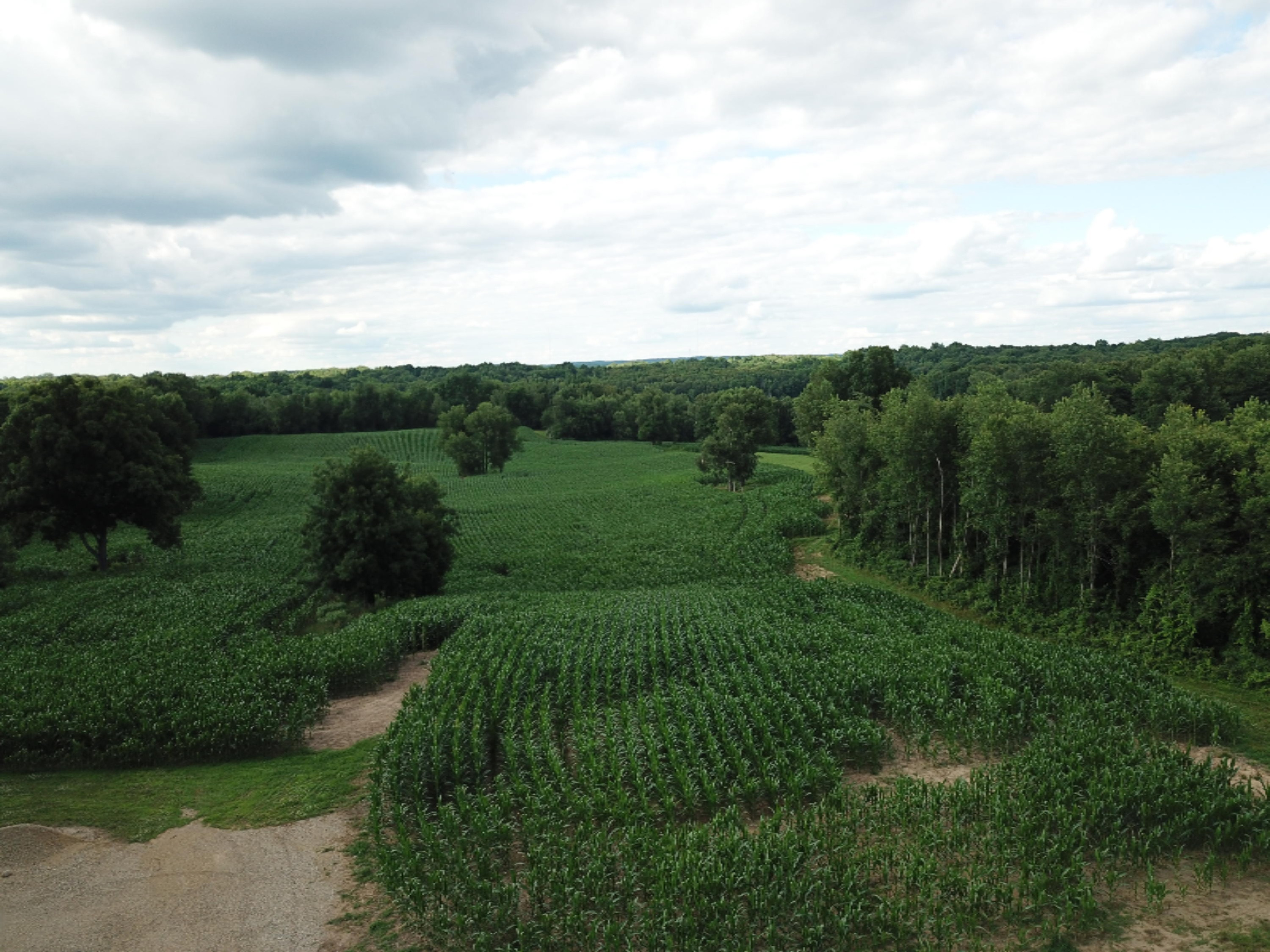 9750 West Pine Lake Road Delton, MI 49046 - Photo 3 of 14 DJI_0004