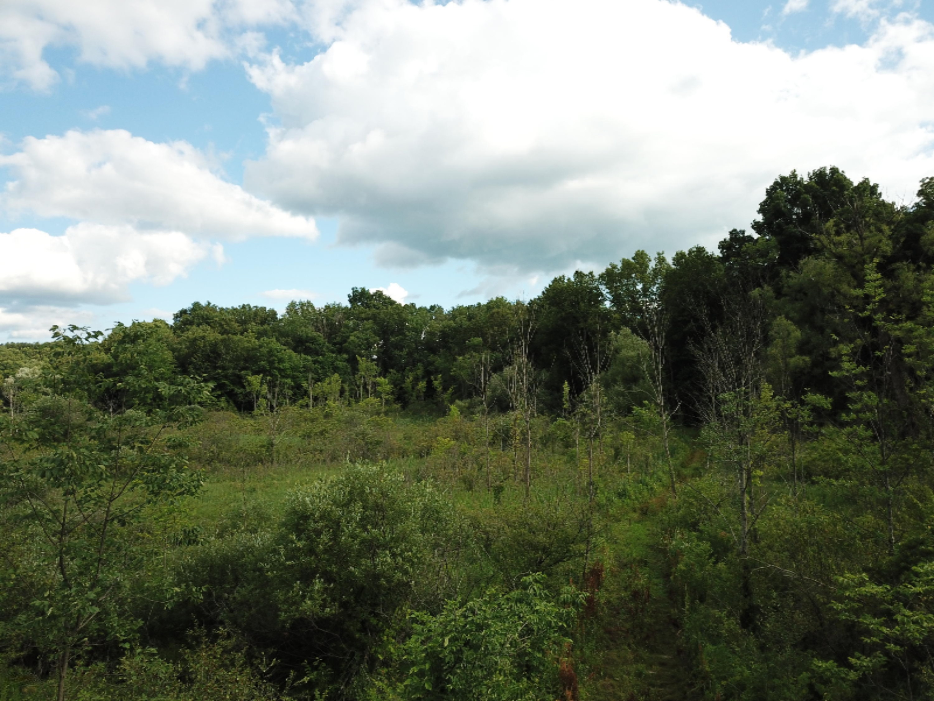 9750 West Pine Lake Road Delton, MI 49046 - Photo 7 of 14 DJI_0008