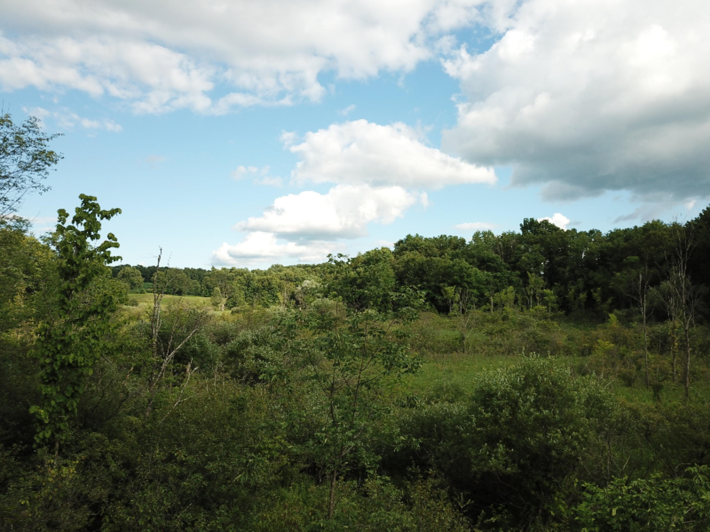 9750 West Pine Lake Road Delton, MI 49046 - Photo 8 of 14 DJI_0009