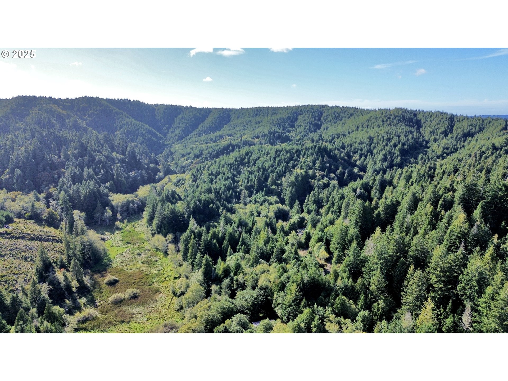 0 Old Wagon Road Coos Bay, OR 97420 - Photo 11 of 41 Gallery Image 11