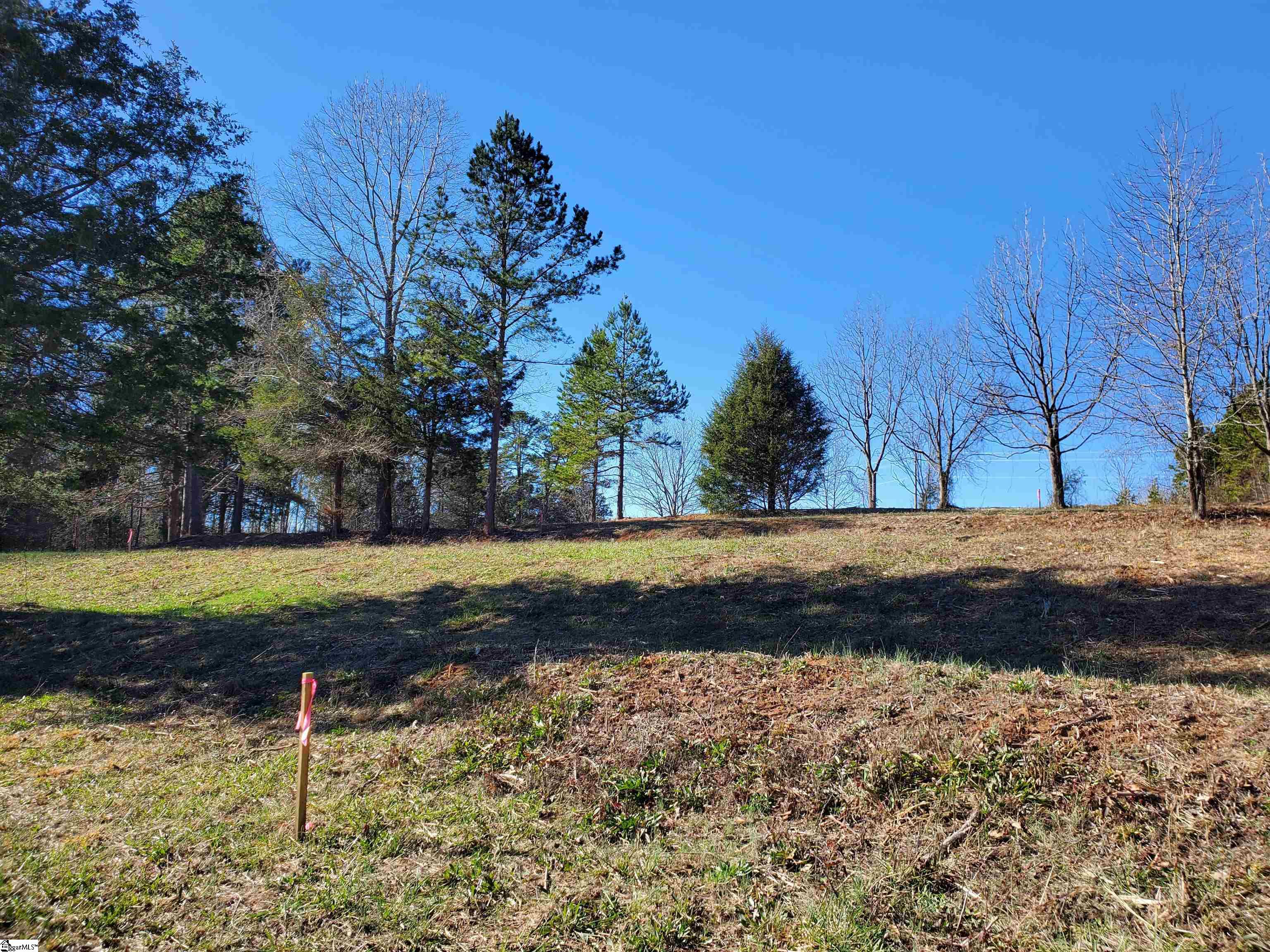 3 Ritchie Road, Unit LOT 3PENNINGTON FARMS) Fountain Inn, SC 29644 - Photo 18 of 30