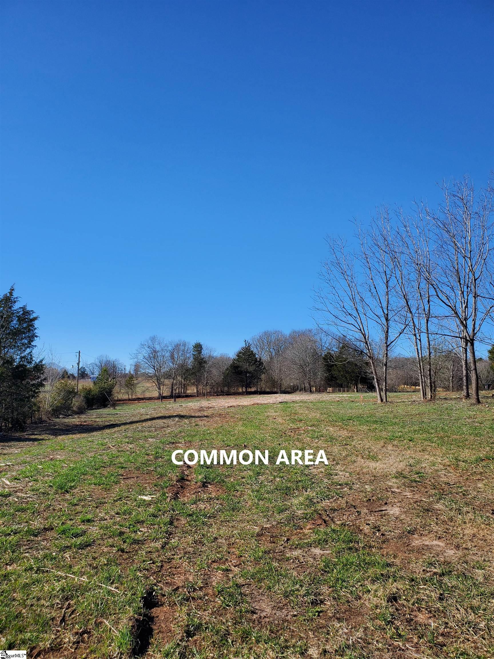 3 Ritchie Road, Unit LOT 3PENNINGTON FARMS) Fountain Inn, SC 29644 - Photo 21 of 30