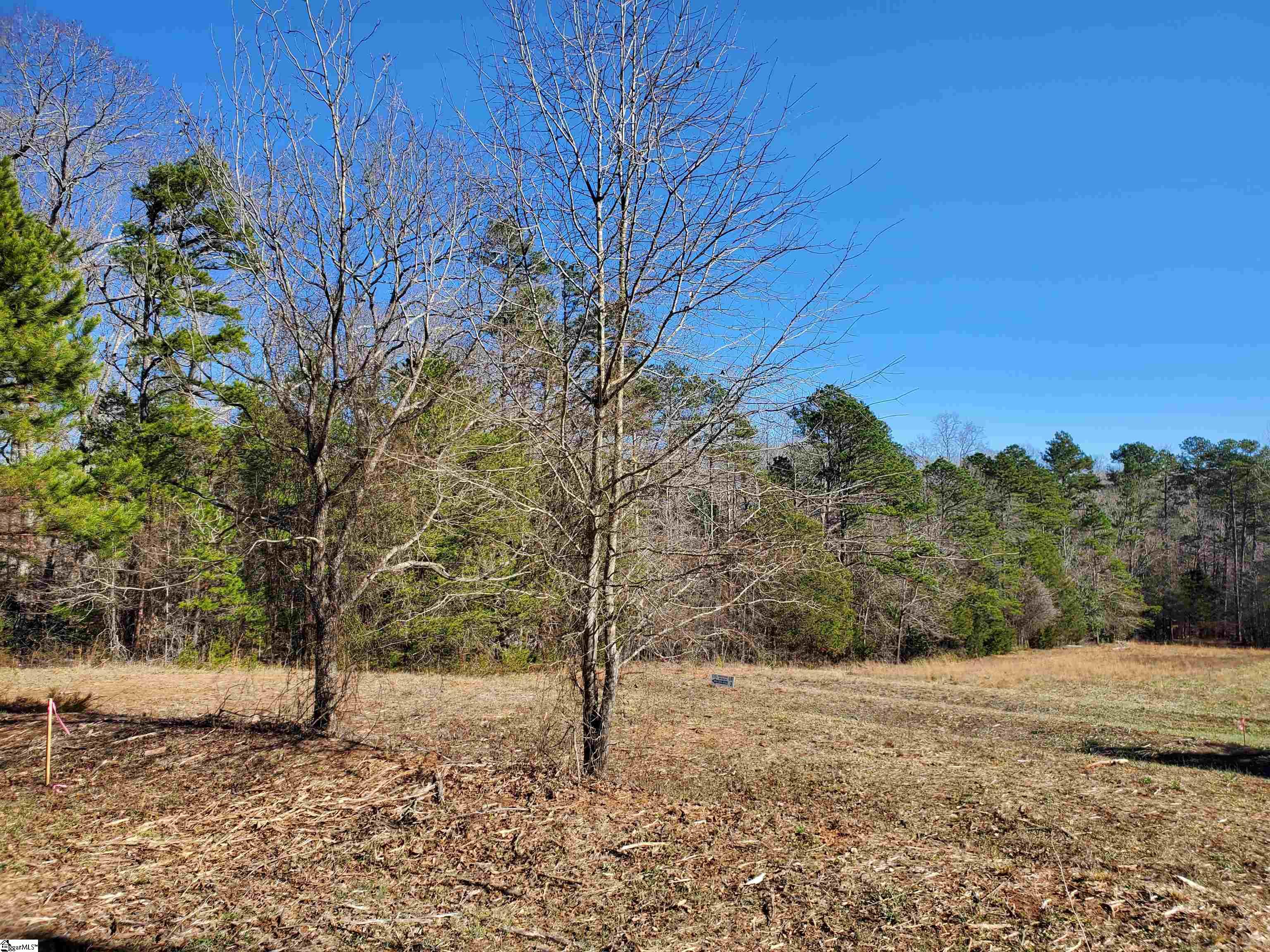 3 Ritchie Road, Unit LOT 3PENNINGTON FARMS) Fountain Inn, SC 29644 - Photo 8 of 30