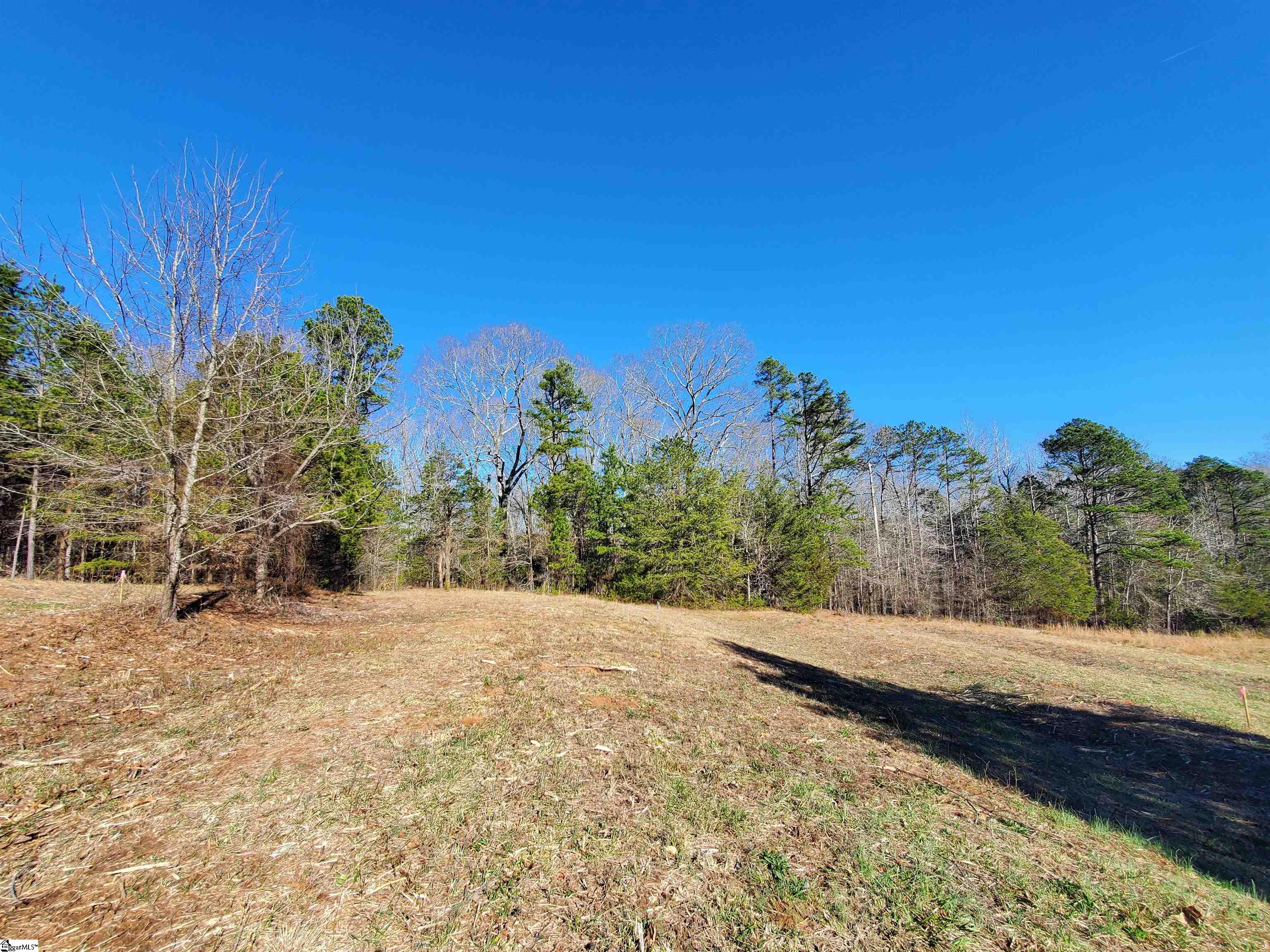 3 Ritchie Road, Unit LOT 3PENNINGTON FARMS) Fountain Inn, SC 29644 - Photo 10 of 30