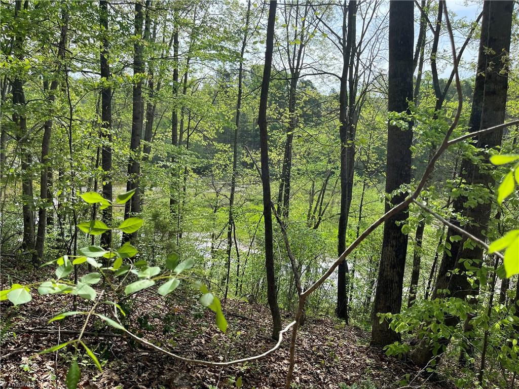 0 Sheets Trail Germanton, NC 27019 - Photo 11 of 12