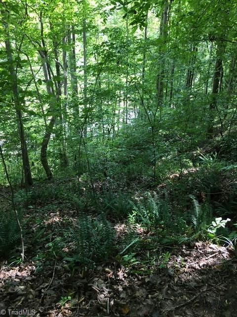 0 Sheets Trail Germanton, NC 27019 - Photo 13 of 31