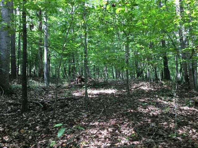 0 Sheets Trail Germanton, NC 27019 - Photo 14 of 31