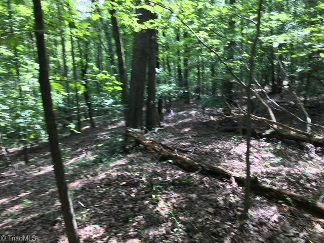 0 Sheets Trail Germanton, NC 27019 - Photo 15 of 31