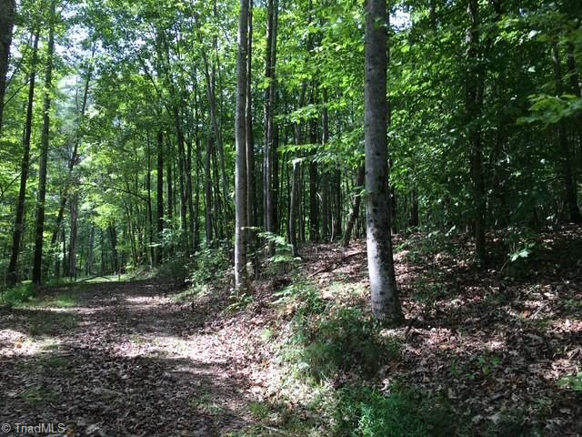 0 Sheets Trail Germanton, NC 27019 - Photo 17 of 31