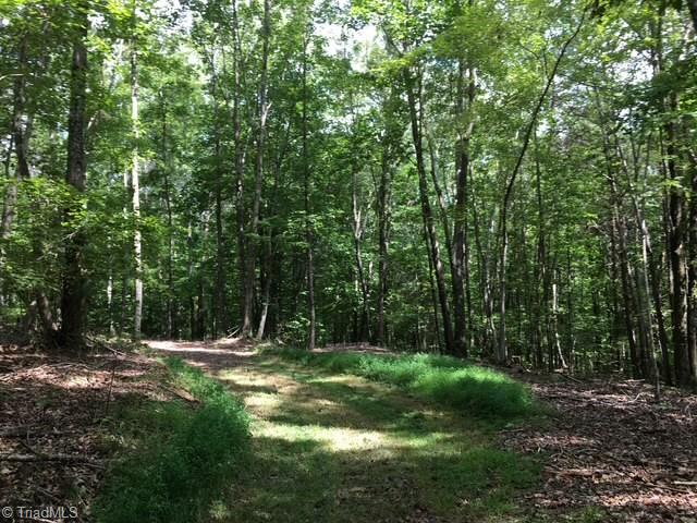 0 Sheets Trail Germanton, NC 27019 - Photo 18 of 31