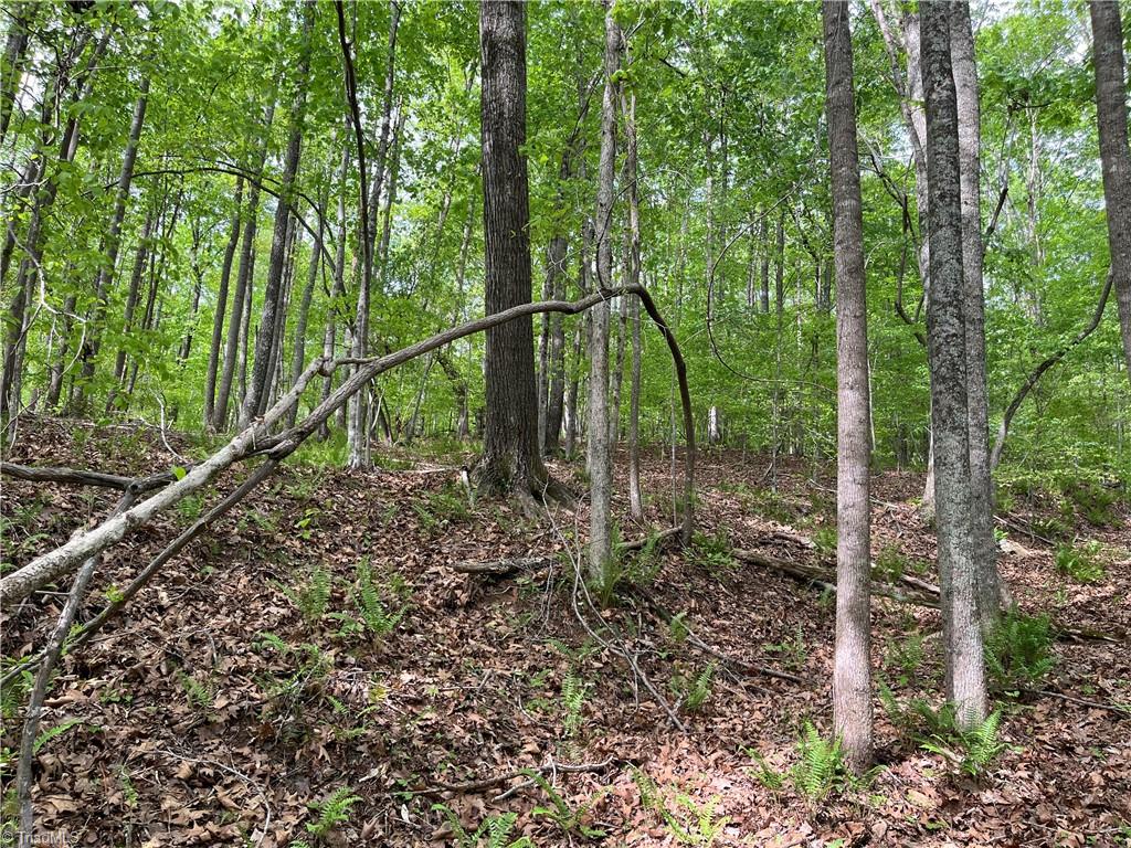 0 Sheets Trail Germanton, NC 27019 - Photo 2 of 12