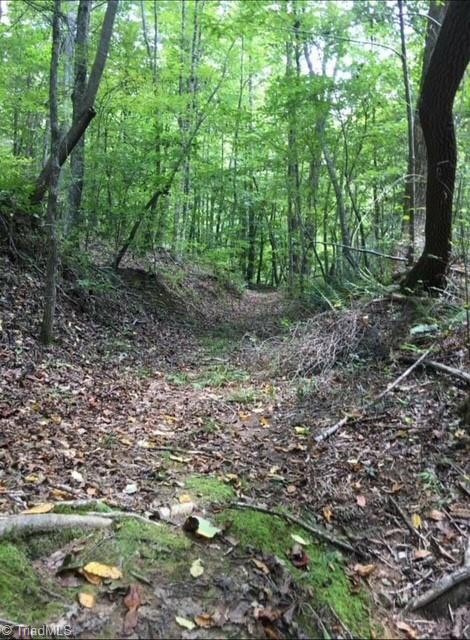 0 Sheets Trail Germanton, NC 27019 - Photo 24 of 31