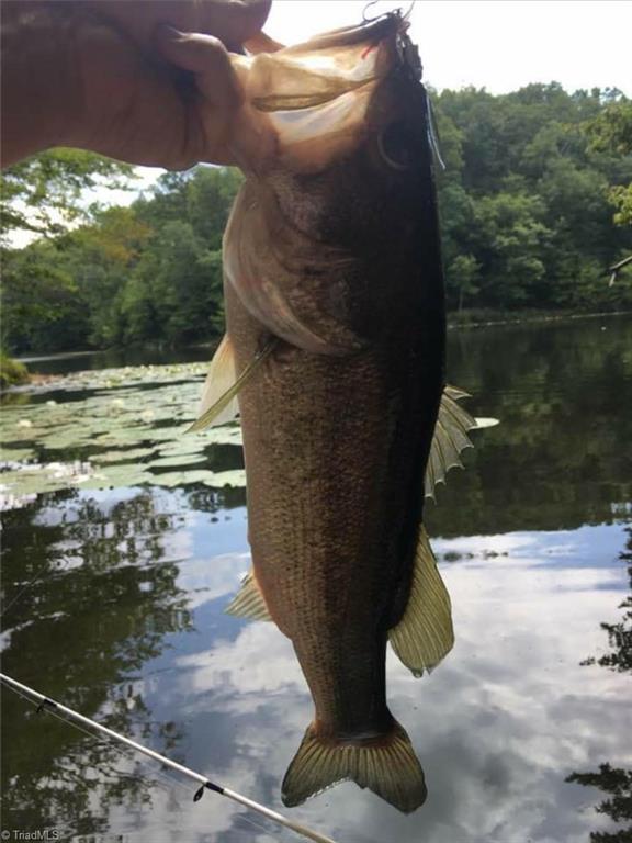 0 Sheets Trail Germanton, NC 27019 - Photo 26 of 31