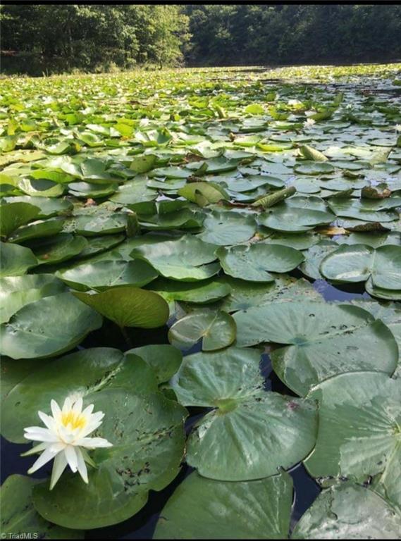 0 Sheets Trail Germanton, NC 27019 - Photo 29 of 31