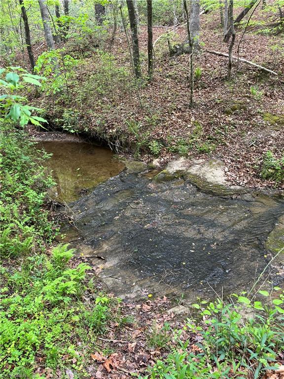 0 Sheets Trail Germanton, NC 27019 - Photo 3 of 12