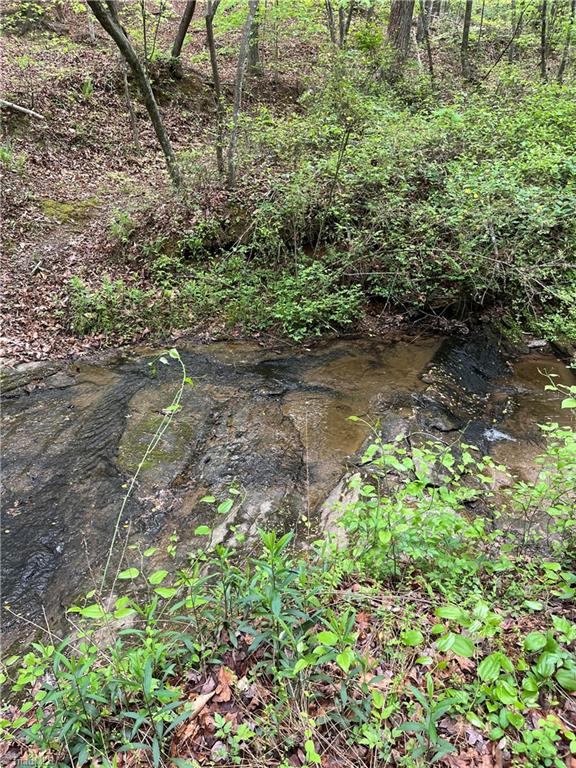 0 Sheets Trail Germanton, NC 27019 - Photo 4 of 12