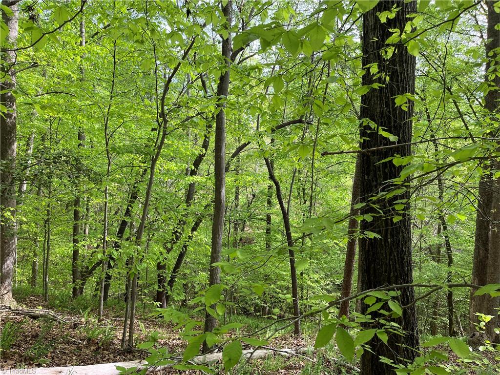 0 Sheets Trail Germanton, NC 27019 - Photo 7 of 12