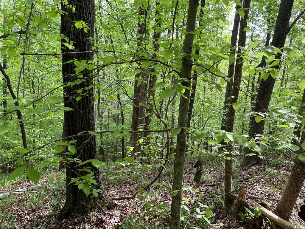 0 Sheets Trail Germanton, NC 27019 - Photo 8 of 12