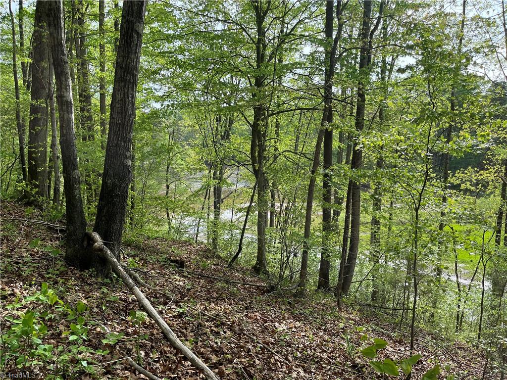 0 Sheets Trail Germanton, NC 27019 - Photo 9 of 12