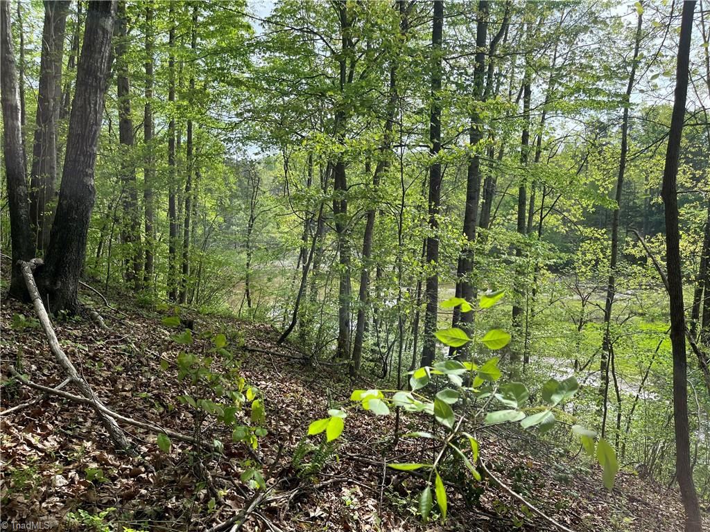 0 Sheets Trail Germanton, NC 27019 - Photo 10 of 12