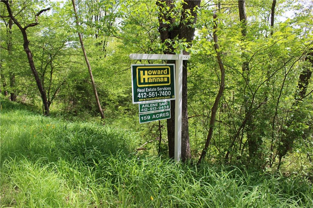 0 Pine City Road Venus, PA 16364 - Photo 11 of 22 Gallery Image 11