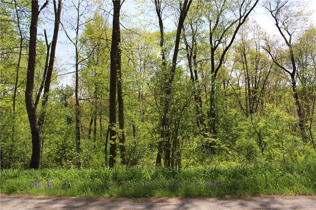 0 Pine City Road Venus, PA 16364 - Photo 12 of 22 Gallery Image 12
