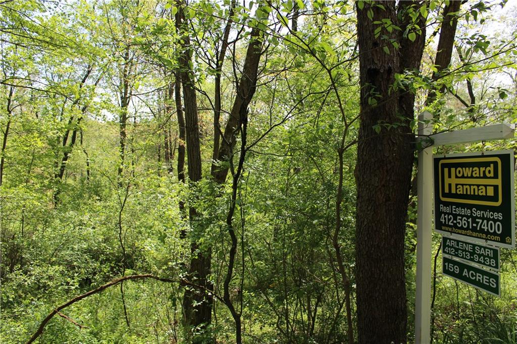 0 Pine City Road Venus, PA 16364 - Photo 18 of 22 Gallery Image 18