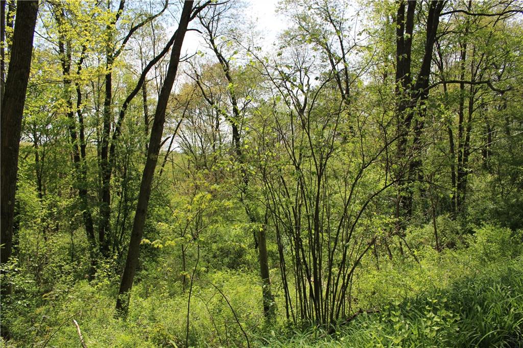 0 Pine City Road Venus, PA 16364 - Photo 8 of 22 Gallery Image 8