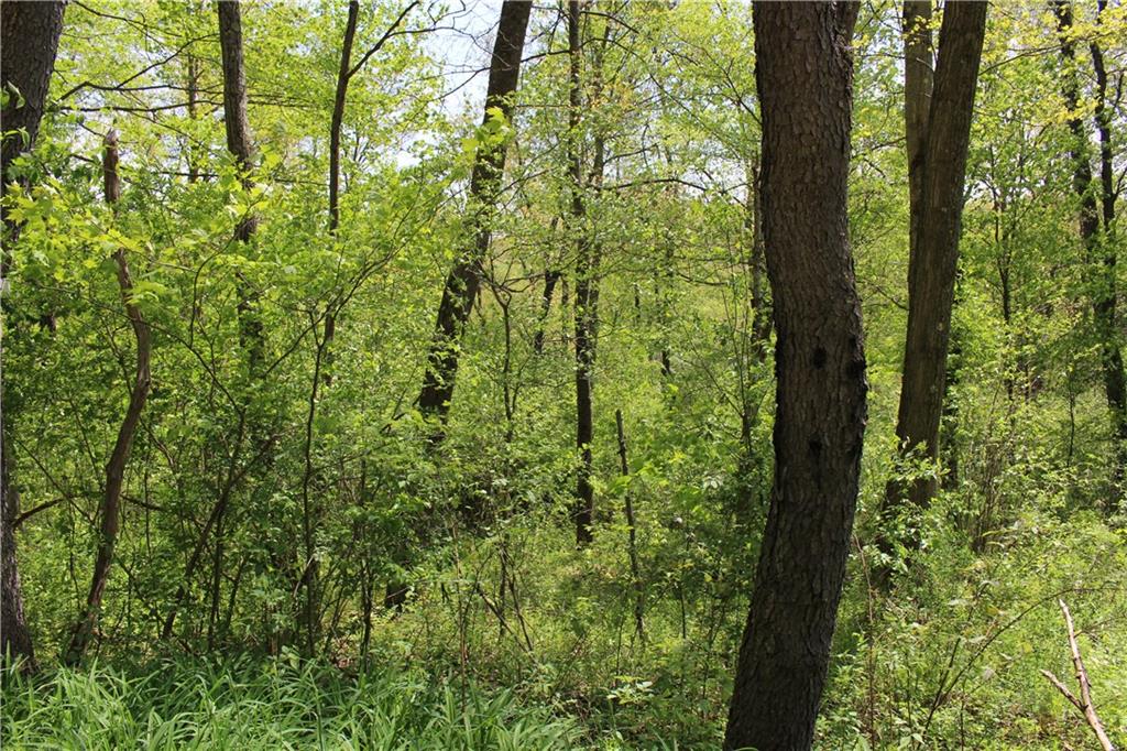 0 Pine City Road Venus, PA 16364 - Photo 10 of 22 Gallery Image 10