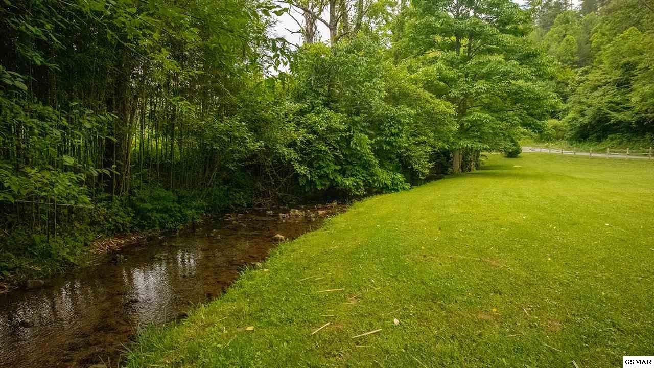 4639 Raven Branch Road Del Rio, TN 37727 - Photo 7 of 36