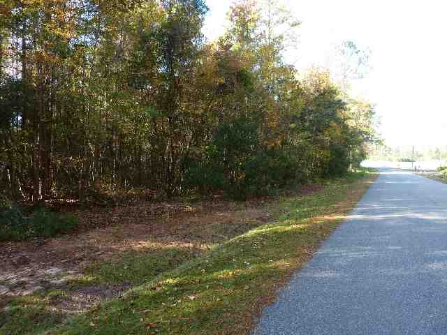 St-johns St John Road Aynor, SC 29511 - Photo 2 of 7 Gallery Image 2