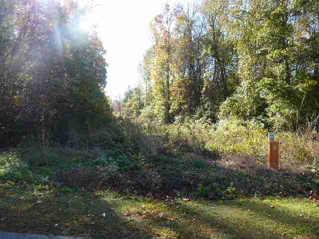 St-johns St John Road Aynor, SC 29511 - Photo 3 of 7 Gallery Image 3