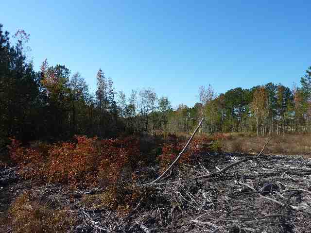 St-johns St John Road Aynor, SC 29511 - Photo 6 of 7 Gallery Image 6