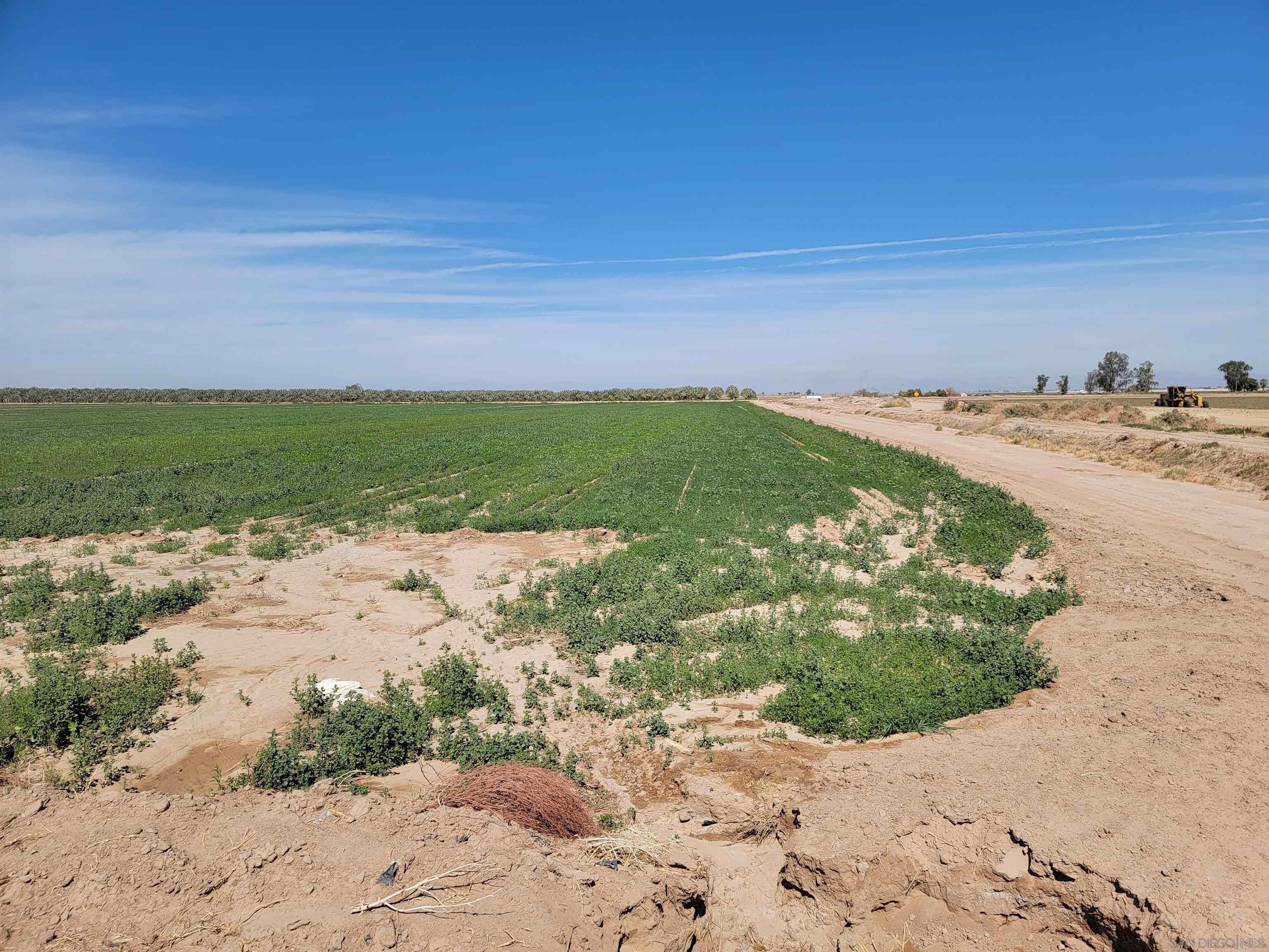 0 Wieman Road Westmorland, CA 92281 - Photo 12 of 30 Gallery Image 12