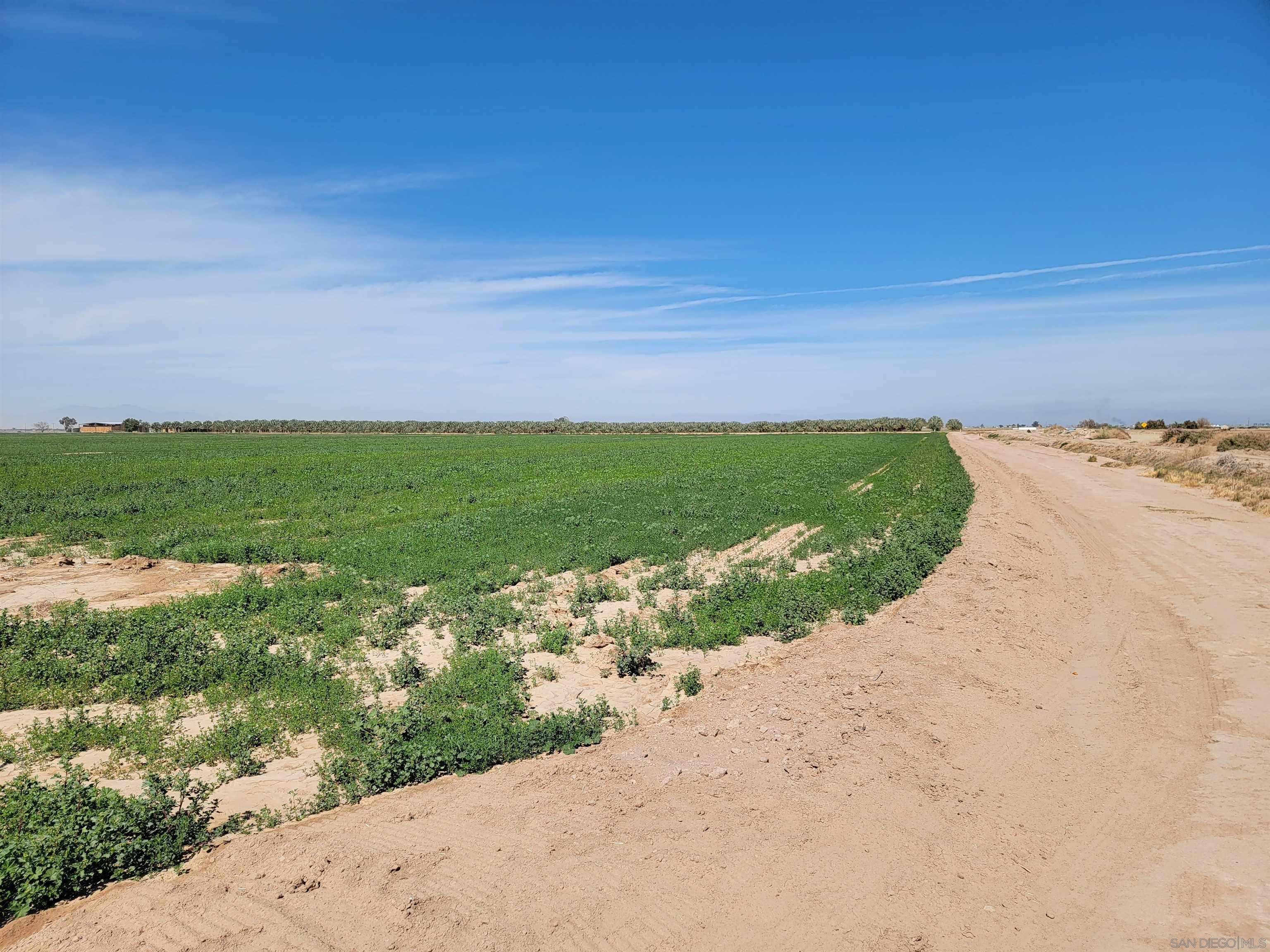 0 Wieman Road Westmorland, CA 92281 - Photo 14 of 30 Gallery Image 14