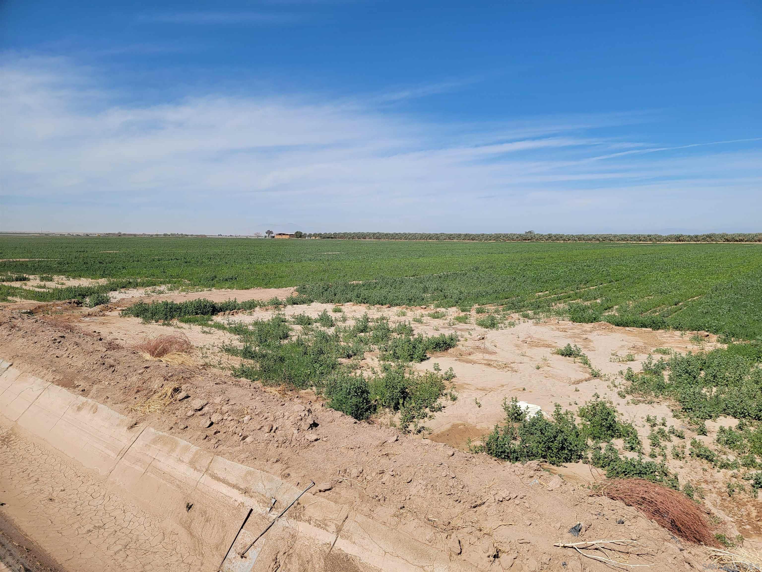 0 Wieman Road Westmorland, CA 92281 - Photo 10 of 30 Gallery Image 10
