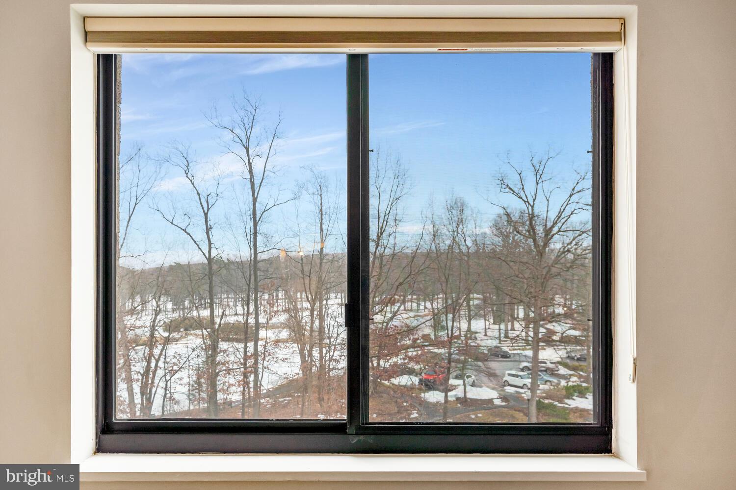 15115 Interlachen Drive, Unit 3425 Silver Spring, MD 20906 - Photo 16 of 41 View from Bedroom