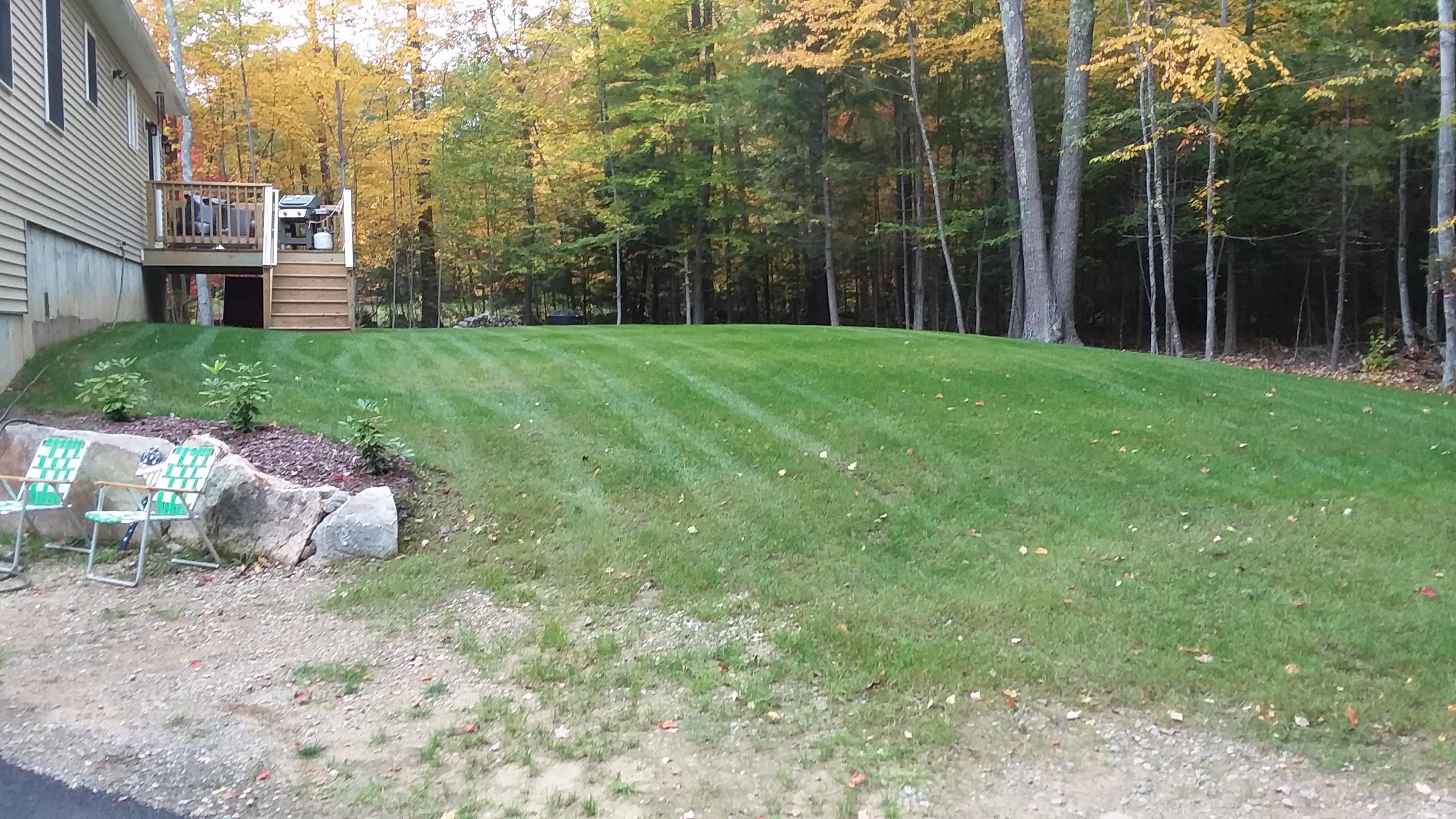 547 Center Road Lebanon, ME 04027 - Photo 21 of 21 Back yard summer