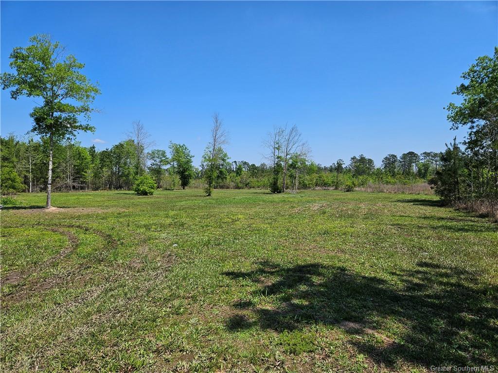197 Carter Settlement Road Starks, LA 70661 - Photo 17 of 22