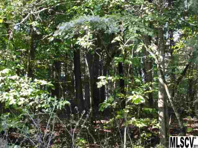 Harris Farm Road Hickory, NC 28602 - Photo 3 of 6 Gallery Image 3